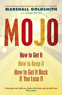 Mojo: How to Get It How to Keep It How to Get It Back If You Lose It | Profile Books