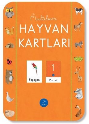 Hayvan Kartları | Multibem Yayınları