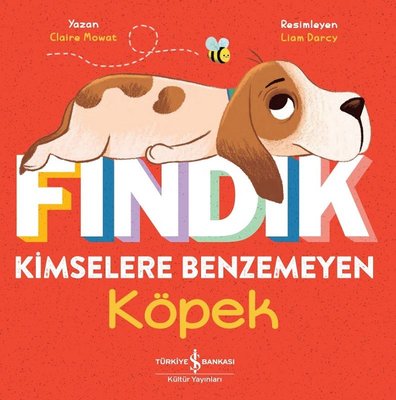 Fındık Kimselere Benzemeyen Köpek | İş Bankası Kültür Yayınları