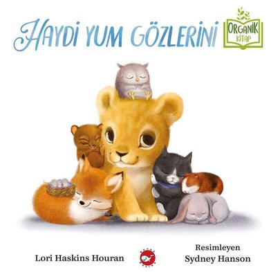 Haydi Yum Gözlerini | Beyaz Balina Yayınları