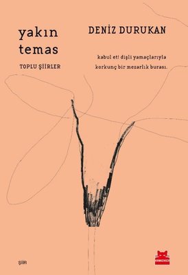 Yakın Temas | Kırmızı Kedi