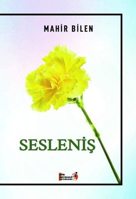Sesleniş | İkinci Adam Yayınları