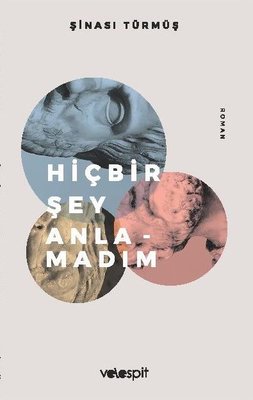 Hiçbir Şey Anlamadım | Velespit Yayınları