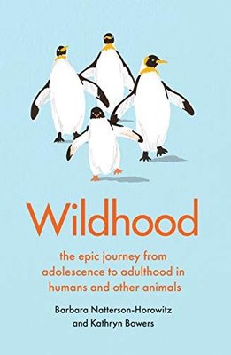 Wildhood | Scribe Publications