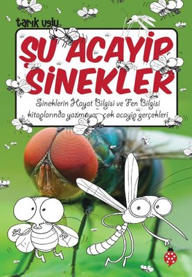 Şu Acayip Sinekler | Uğurböceği