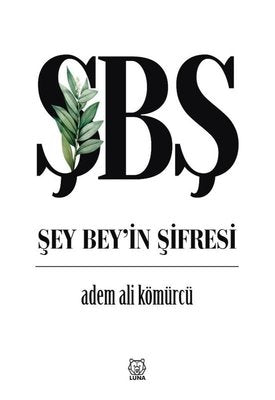 Şey Bey'in Şifresi | Luna Yayınları