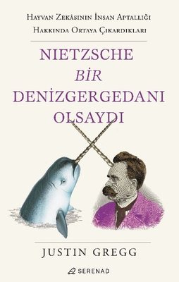 Nietzsche Bir Denizgergedanı Olsaydı | Serenad