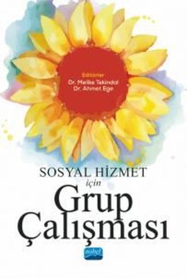 Sosyal Hizmet İçin Grup Çalışması | Nobel Akademik Yayıncılık
