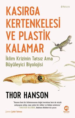 Kasırga Kertenkelesi ve Plastik Kalamar | Nova Kitap