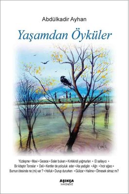 Yaşamdan Öyküler | Aşıkça Yayınevi