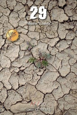 29-Mardin Yolunda | Cinius