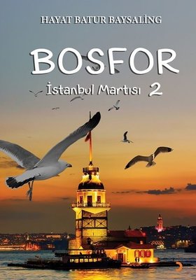 Bosfor - İstanbul Martısı 2 | Cinius