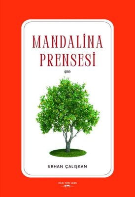 Mandalina Prensesi | Sokak Kitapları Yayınları