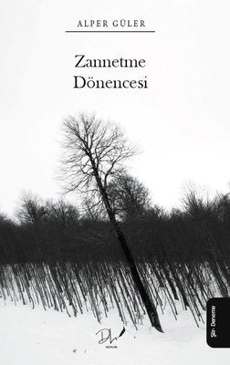 Zannetme Dönencesi | DLS Yayınları