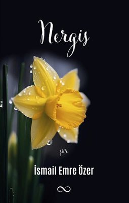 Nergis | Bengisu Yayınları
