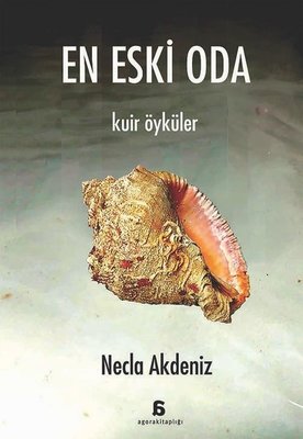 En Eski Oda - Kuir Öyküler | Agora Kitaplığı (İnce Kapak)