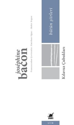 Kılavuz Çubukları - Bütün Şiirleri | Ayrıntı Yayınları (İnce Kapak)