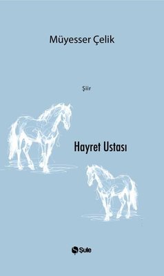 Hayret Ustası | Şule Yayınları (İnce Kapak)