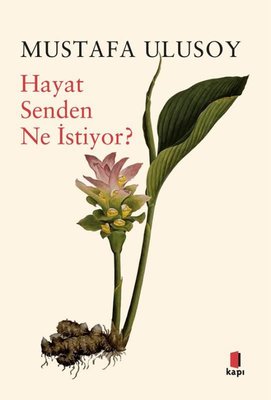 Hayat Senden Ne İstiyor? | Kapı Yayınları (İnce Kapak )