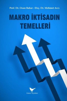 Makro İktisadın Temelleri | Günce Yayınları (İnce Kapak)