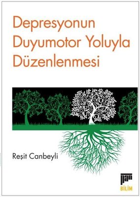 Depresyonun Duyumotor Yoluyla Düzenlenmesi | Pan Yayıncılık (İnce Kapak)