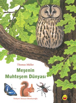 Meşenin Muhteşem Dünyası | Kuraldışı Yayınları (İnce Kapak)