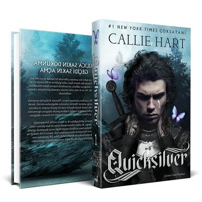 Quicksilver | İndigo Kitap (Ciltli)