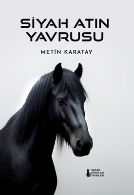 Siyah Atın Yavrusu | Sokak Kitapları Yayınları (İnce Kapak)