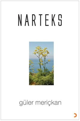 Narteks | Cinius (İnce Kapak)