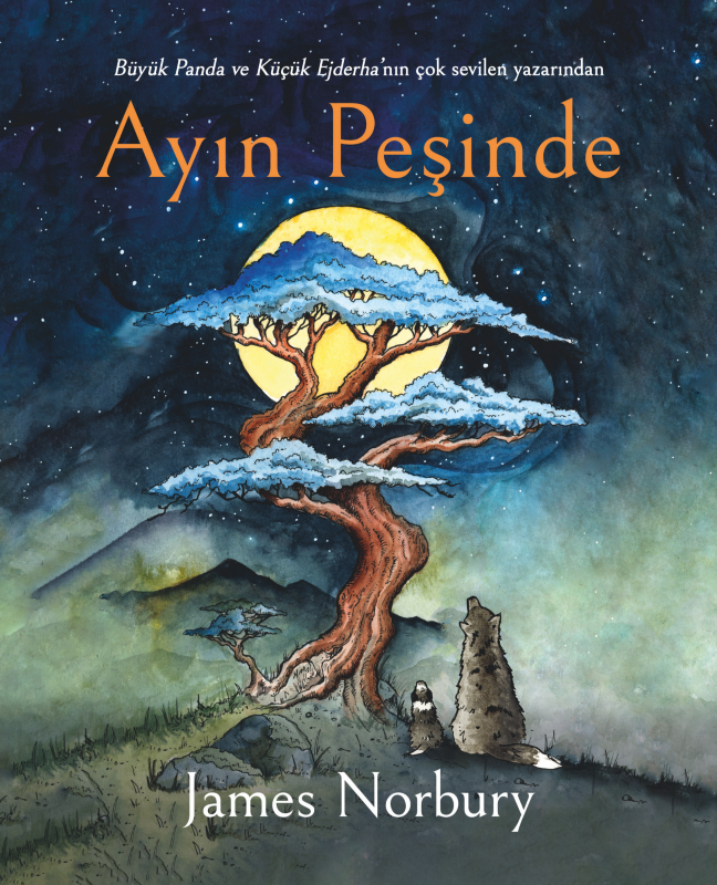 Ayın Peşinde - James Norbury kitap kapağı