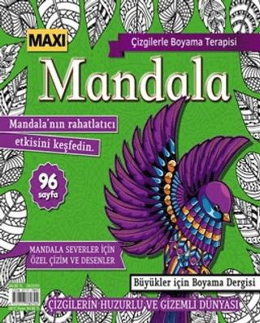 Maxi Mandala Çizgilerle Boyama Terapisi 9 | Maxi Yayıncılık (Ciltsiz)