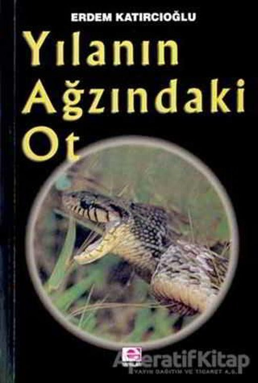 Yılanın Ağzındaki Ot - Erdem Katırcıoğlu - E Yayınları