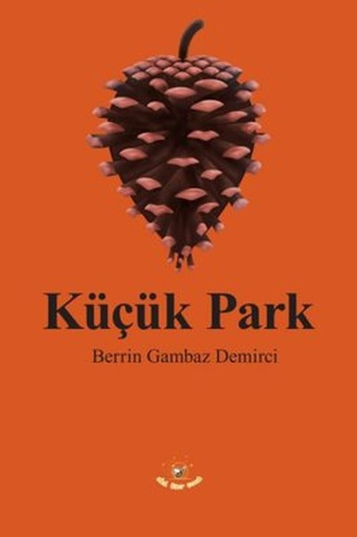 Küçük Park | Akıl Fikir Yayınları (İnce Kapak )