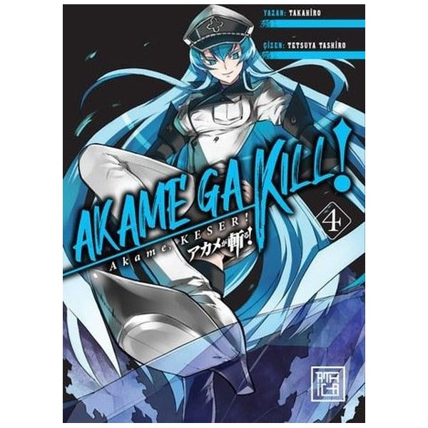 Akame Keser 4 | Athica Yayınları (İnce Kapak)