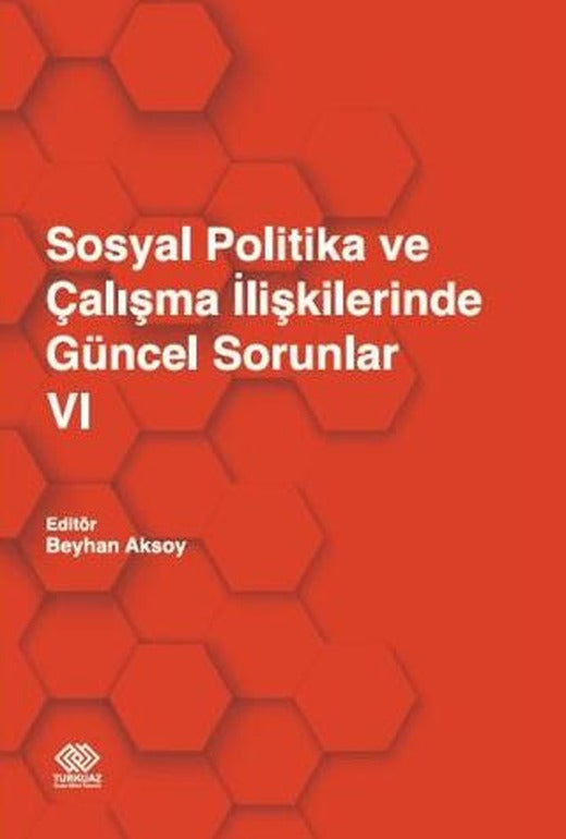 Sosyal Politika ve Çalışma İlişkilerinde Güncel Sorunlar 6