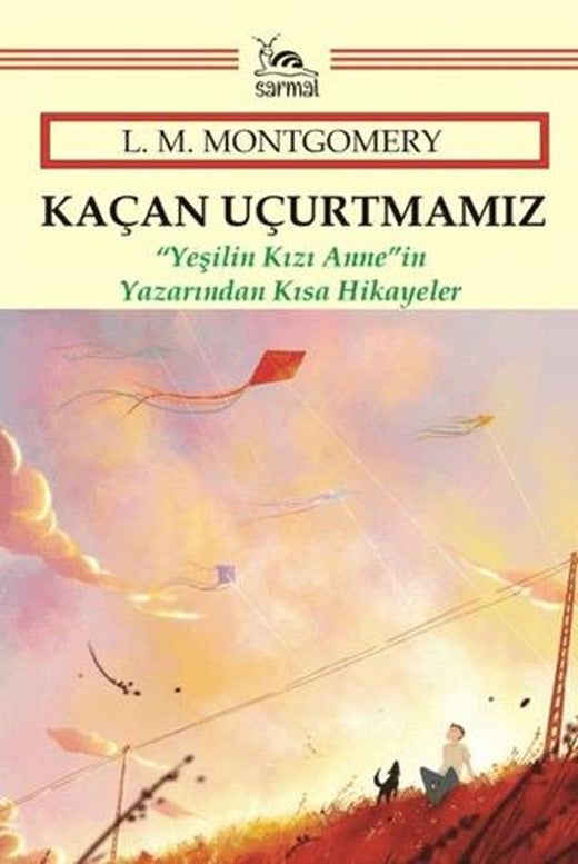 Kaçan Uçurtmamız | Sarmal Kitabevi (Ciltsiz)