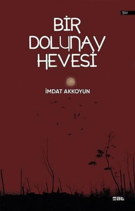 Bir Dolunay Hevesi | Mat Kitap (Ciltsiz)