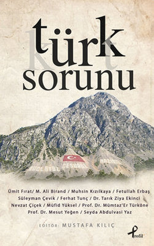 Türk Sorunu | Profil Kitap