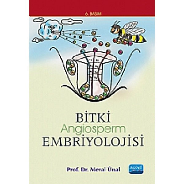 Bitki Angiosperm Embriyolojisi