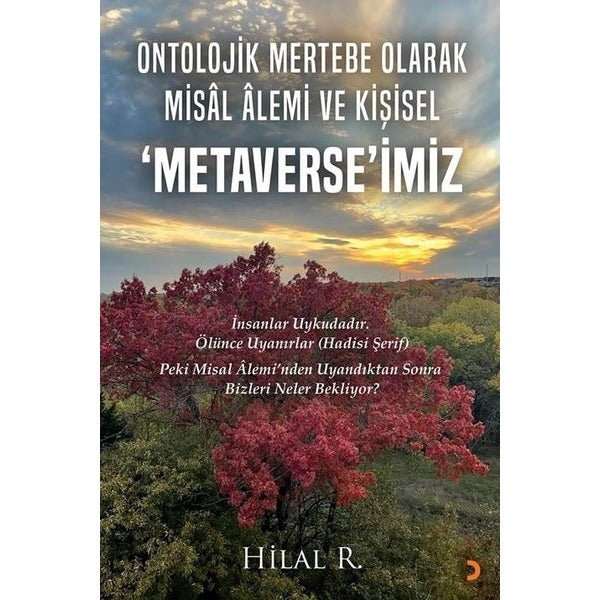 Ontolojik Mertebe Olarak Misal Alemi ve Kişisel Metaverse'miz | Cinius