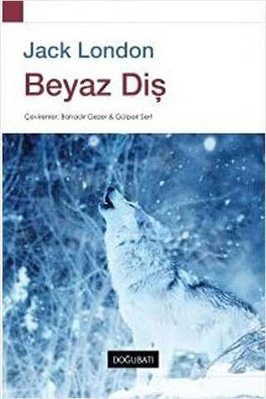 Beyaz Diş | Doğu Batı Yayınları