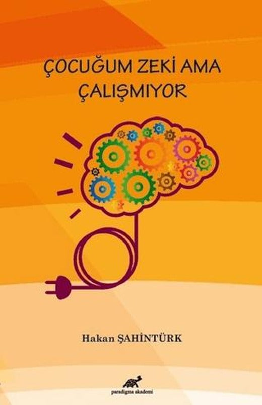 Çocuğum Zeki Ama Çalışmıyor | Paradigma Akademi Yayınları (Ciltsiz)