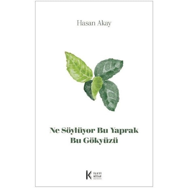 Ne Söylüyor Bu Yaprak Bu Gökyüzü | İleti Kitap (İnce Kapak)