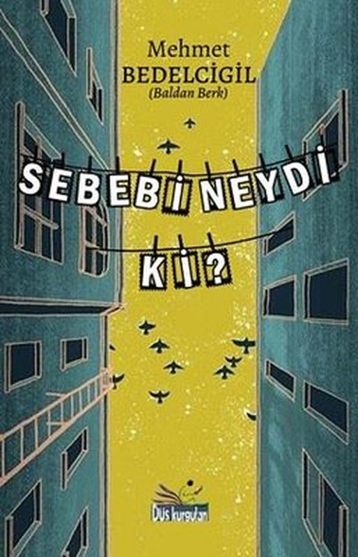 Sebebi Neydi Ki? | Düş Kurguları Yayınları (İnce Kapak)