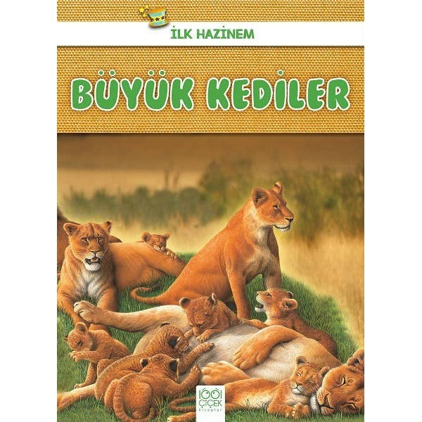 Büyük Kediler-İlk Hazinem | 1001 Çiçek