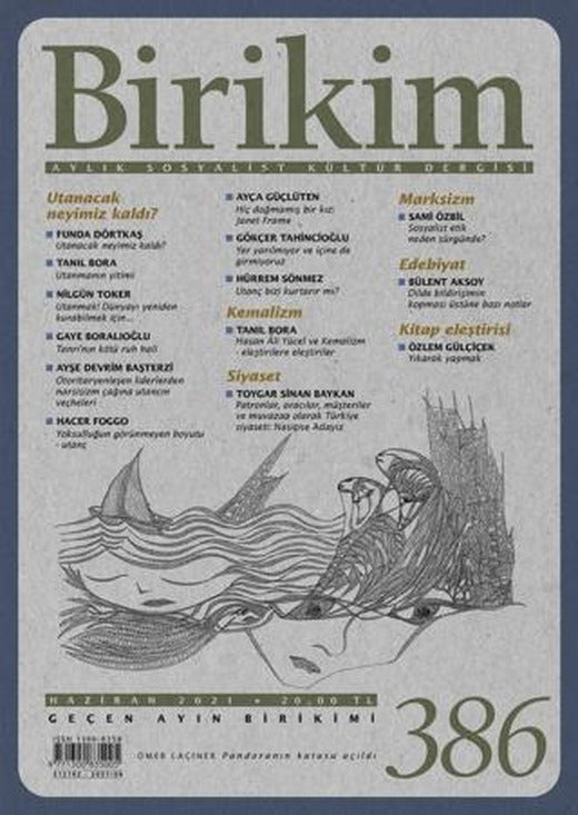 Birikim Aylık Sosyalist Kültür Dergisi Sayı: 386 Haziran 2021 | Birikim Yayınları (Ciltsiz)