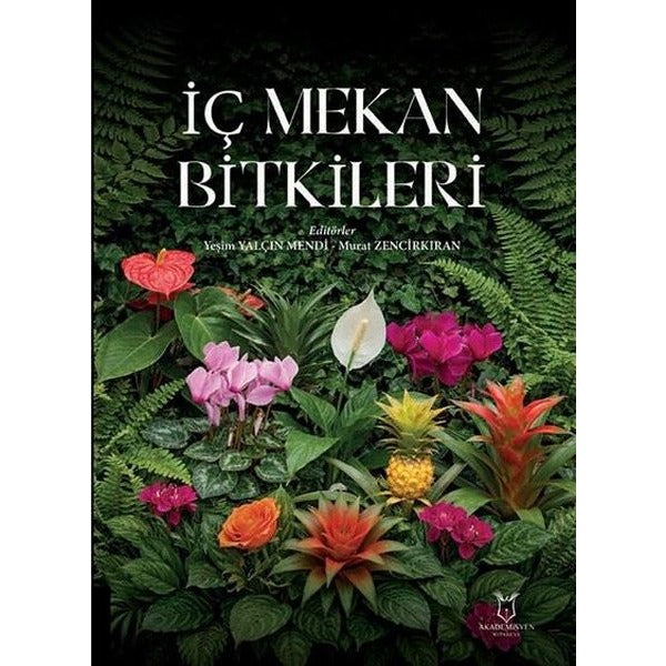 İç Mekan Bitkileri