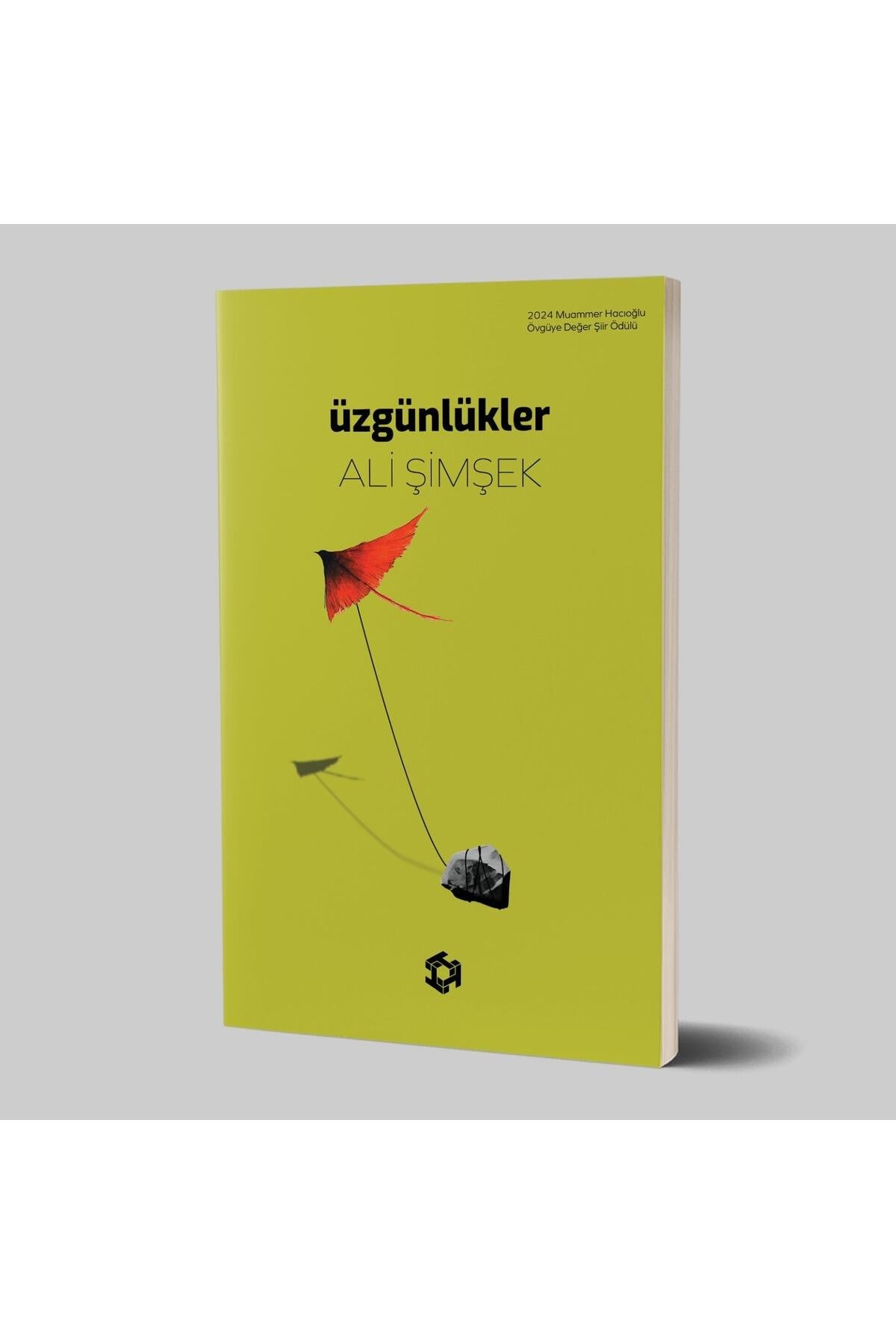 Üzgünlükler | Tecrit Yayınevi (İnce Kapak)