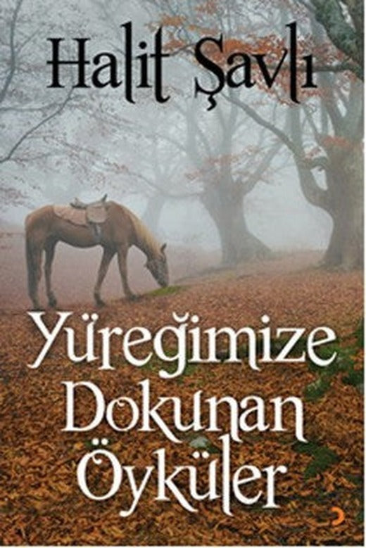 Yüreğimize Dokunan Öyküler | Cinius