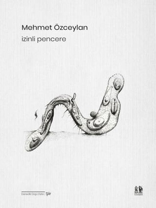 İzinli Pencere | Pikaresk Yayınevi (Ciltsiz)